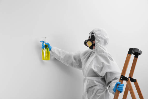 Best Biohazard Mold Removal in Bridgeville, DE